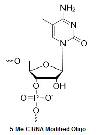 Bio-Synthesis Inc. Oligo Structure